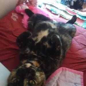 Meet your Posher, Pamela